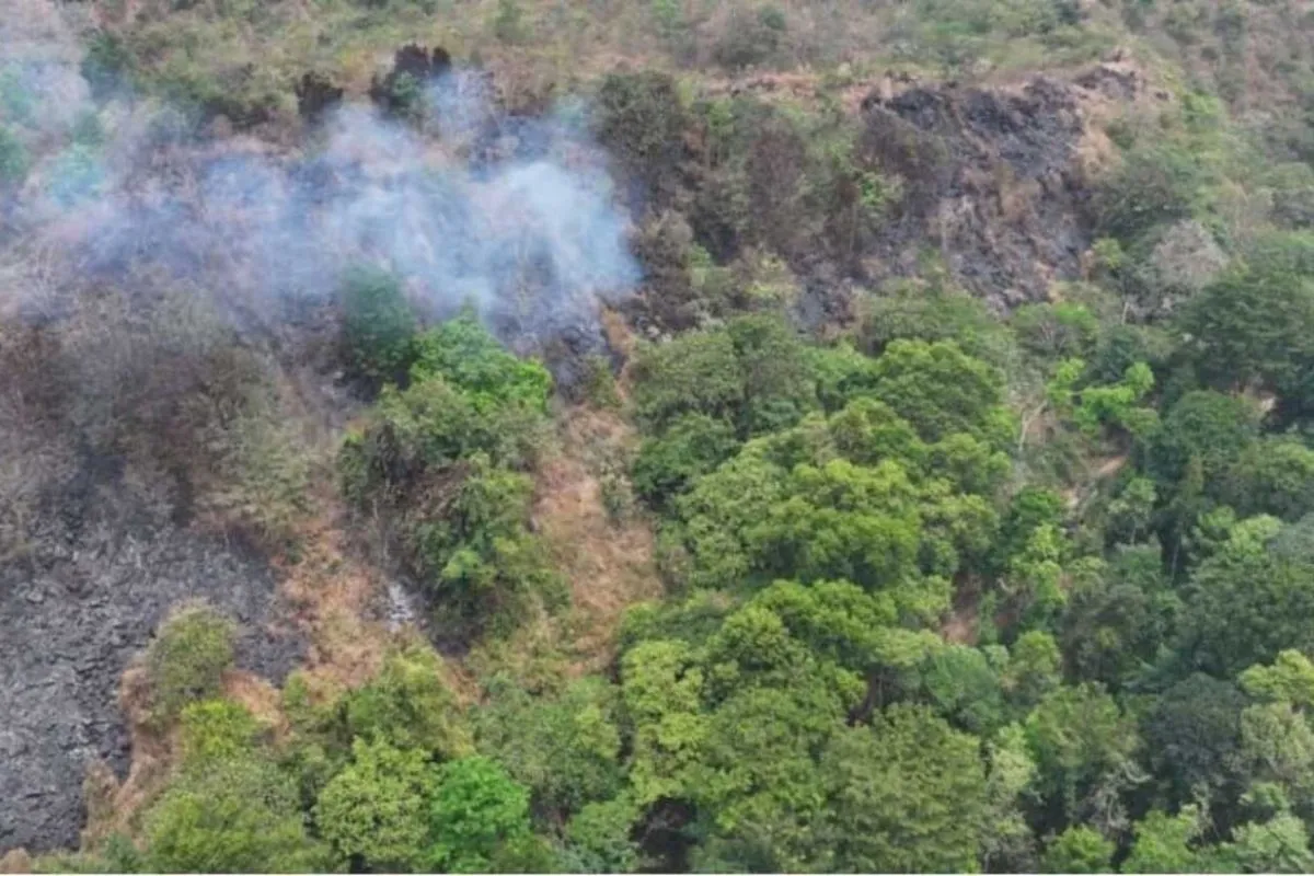 Kemenhut Pastikan Kebakaran di Taman Nasional Gunung Ciremai Terkendali dan Berhasil Dipadamkan