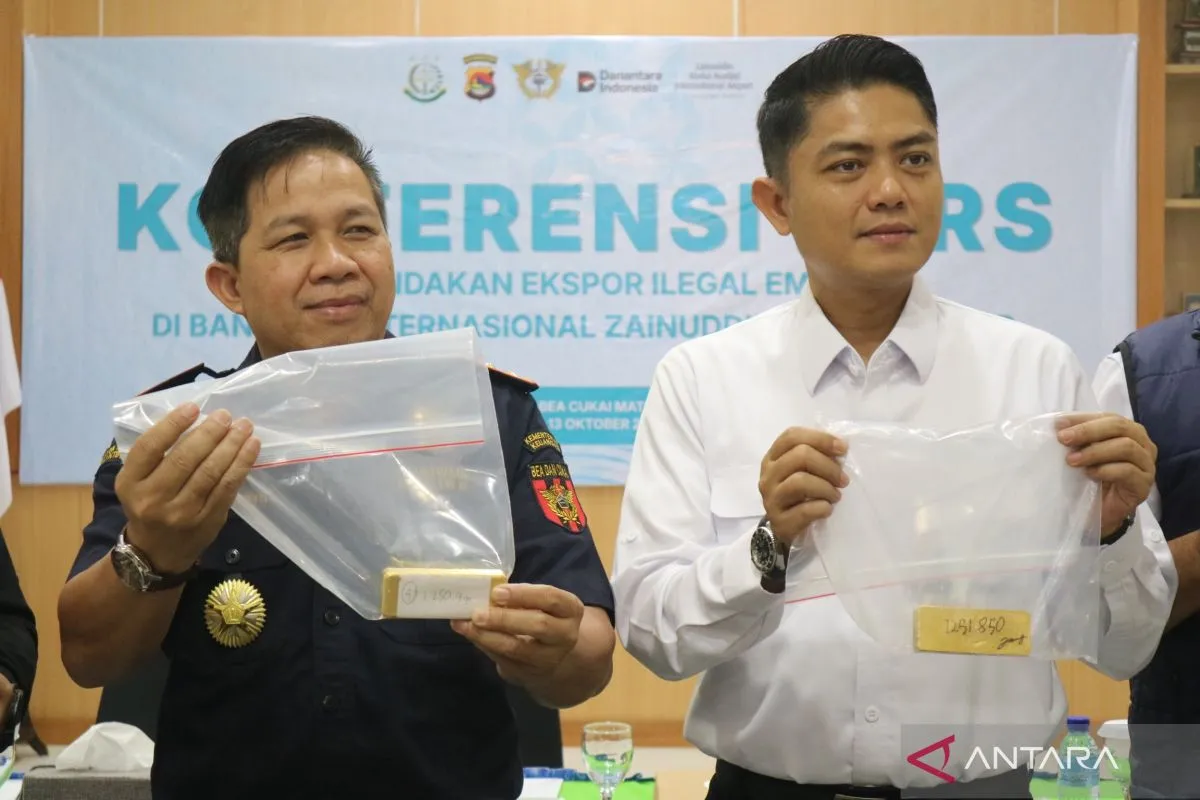 Bea Cukai Perketat Pemeriksaan Barang Penumpang Internasional untuk Cegah Penyelundupan